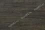 spr0262-05